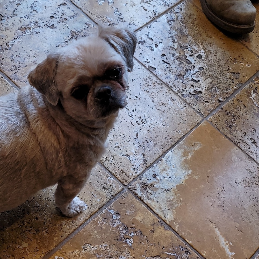 Meet your Posher, Tony